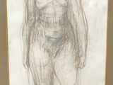 drawing of a woman standing in front of a white background
