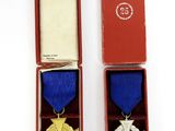 two medals sitting in a red box on a white surface
