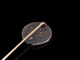 an image of a coin with a stick sticking out of it