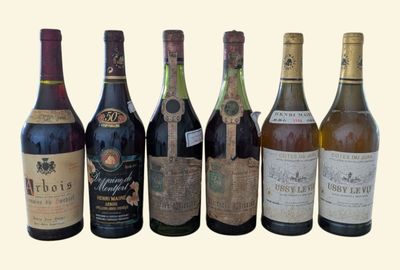 bottles of wine are lined up in a row on a white background