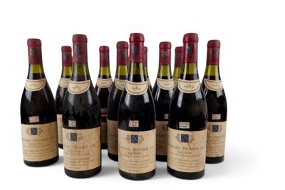 six bouteilles de vin sont alignées sur une surface blanche