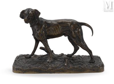 statue en bronze d'un chien debout sur un rocher sur fond blanc