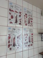 Ensemble affiches de boucherie sur les morceaux de bœuf et d… (photo 3)