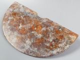 an image of a piece of stone with a brown patt on it
