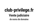 Photo 1/1 du lot