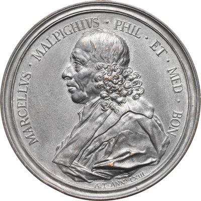 l'image d'une pièce d'argent à l'effigie d'une femme