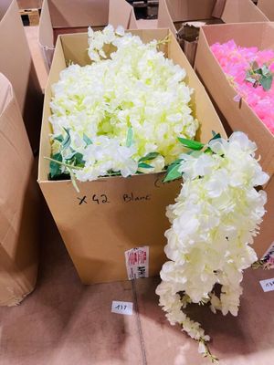 several boxes of flowers are lined up on a table