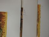 a painting on the wall next to a painting on the wall