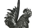 black rooster figurine on a white background with a white background