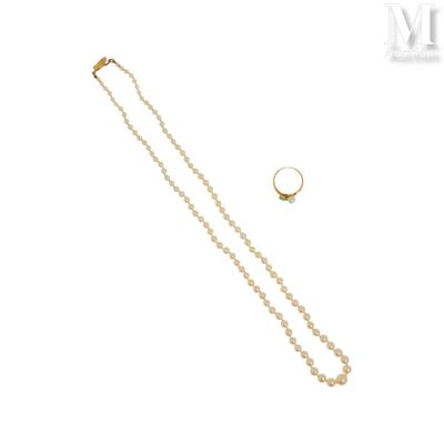 a close up of a necklace and a ring on a white surface