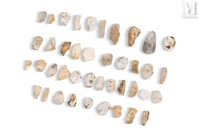 de nombreux types de roches différents sur une surface blanche