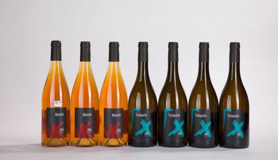six bouteilles de vin posées les unes à côté des autres sur une surface blanche