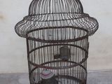 a bird in a cage on the ground next to a wall