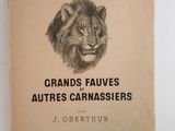 un vieux livre sur lequel est dessiné un lion