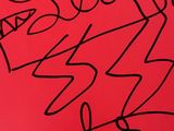 the cover of a book with a red background and black writing on it