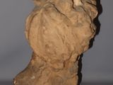 a clay sculpture of a lion head on a table