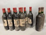 plusieurs bouteilles de vin sont alignées sur une surface blanche