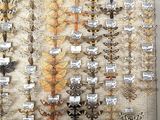 many different types of moths displayed on the wall