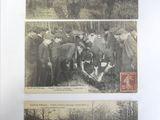 several pictures of a group of people standing in a forest