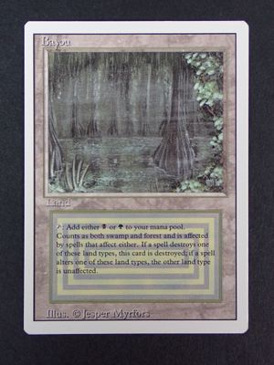 a close up of a card with a picture of a swamp