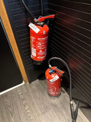 4 extincteurs Suite LJ. BUFFA'LORN - Enlèvement des lots s… - Photo 1