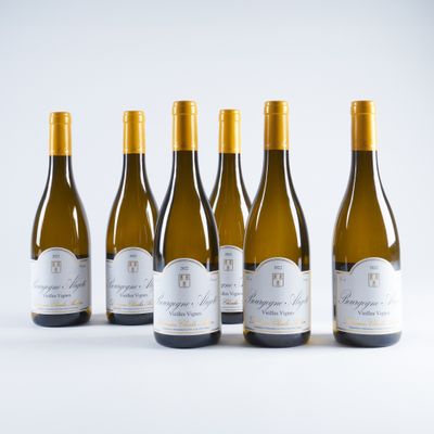 cinq bouteilles de vin blanc alignées sur une surface blanche