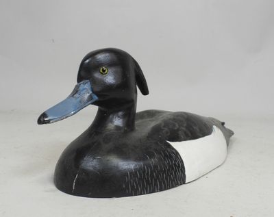 un canard noir et blanc posé sur une surface blanche