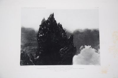 une photo en noir et blanc d'un arbre d'où s'échappe de la fumée