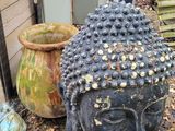 a statue of a buddha head sitting next to a potted plant