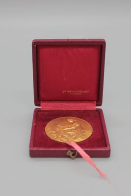 une image représentant une médaille d'or dans un coffret rouge orné d'un ruban rose