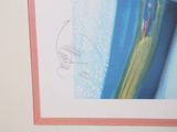 a picture of a picture of a person on a surfboard