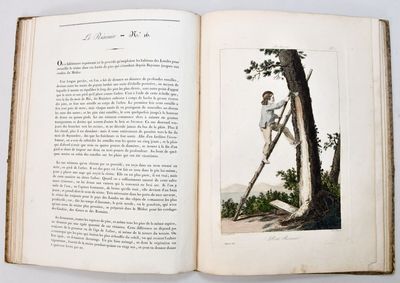 an open book with a picture of a man climbing a tree