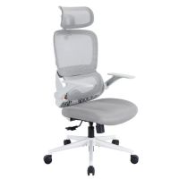 10798-123 / Chaise de bureau ergonomique - SIHOO - B100SE - …