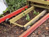 a red and yellow forklift with some plants in it