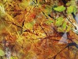 a picture of a painting of a tree with leaves on it
