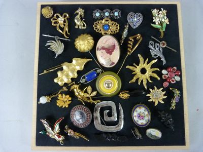 une photo d'une collection de broches dans une vitrine