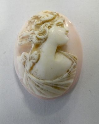 a picture of a woman ' s face carved into a shell