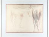 drawing of a horse and a man standing next to each other in a white frame