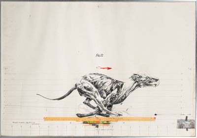 an image of a drawing of a dog running on a skateboard