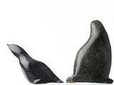 two black birds that are sitting next to each other