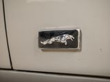 a close up of a badge on a car door