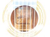 a picture of a guitar with a label on it