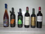 Des bouteilles de vin sont alignées sur une étagère dans une cuisine.