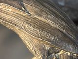 a close up of a sculpture of a bird on a branch