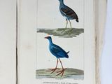 two birds that are standing next to each other on a book