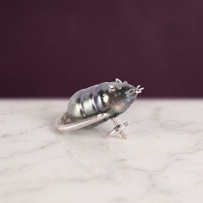 un petit coléoptère argenté posé sur une table en marbre