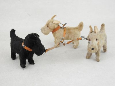 trois petits chiens qui tirent sur leur laisse dans la neige