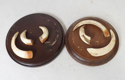 deux morceaux de nourriture posés sur une table