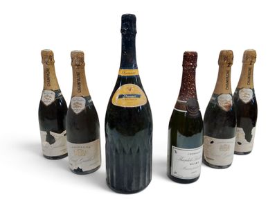 six bouteilles de vin sont alignées dans une rangée