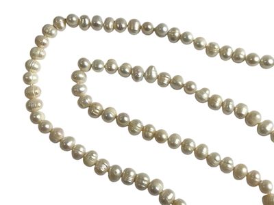 collier de perles sur fond blanc, muni d'un fermoir doré